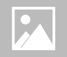 TheShy爆冷击败塞尔维亚队，败北引爆全场！的简单介绍