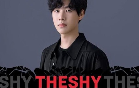 关于TheShy回归赛场，战术调整首场状态亮眼，加拿大队观众沸腾！的信息
